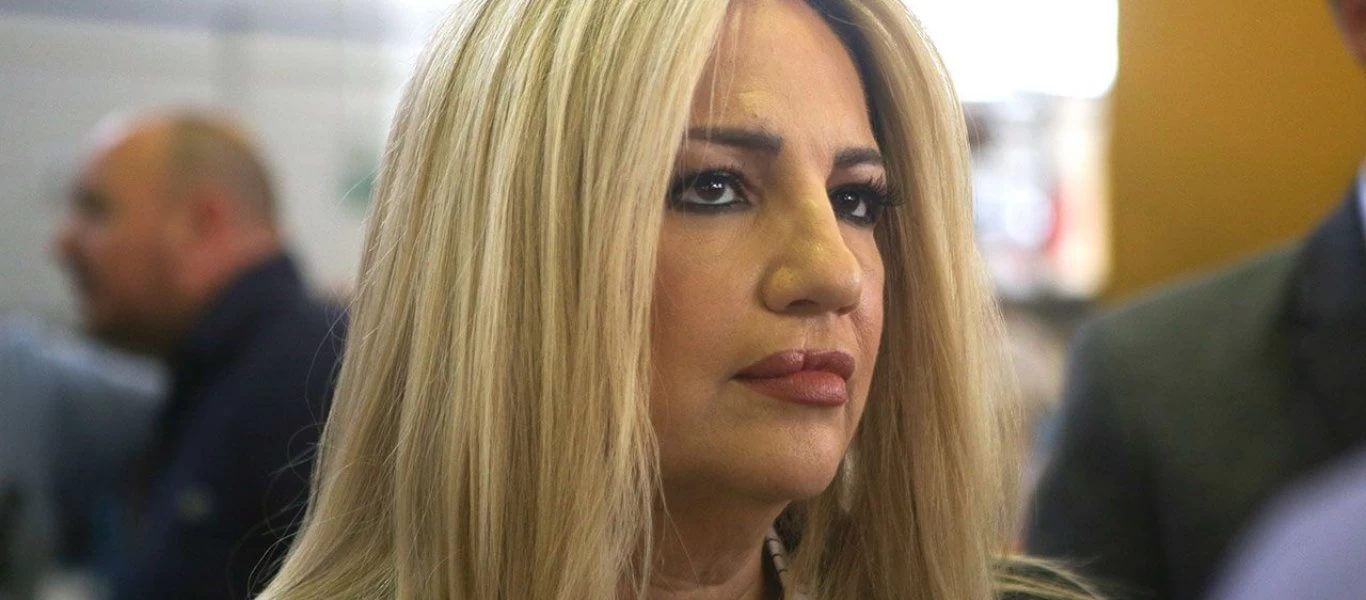 Φ.Γεννηματά: «Η κυβέρνηση δεν πρέπει να κάνει πως δεν βλέπει το τούρκικο πλοίο να σεργιανίζει στην υφαλοκρηπίδα»